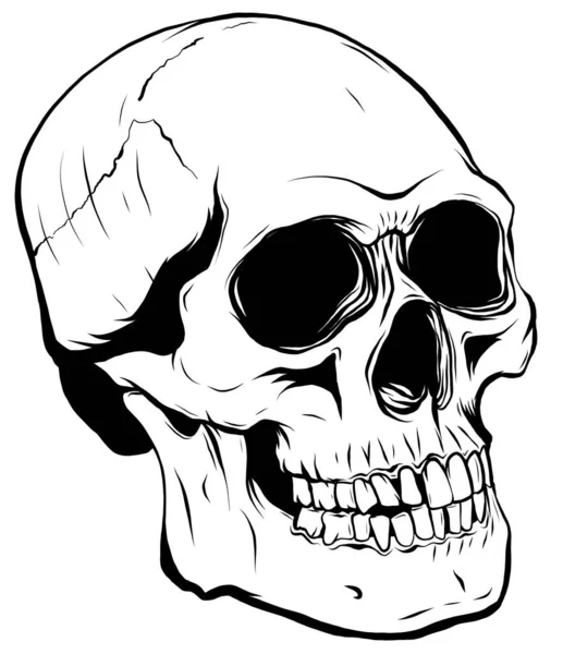 Outline graphics vector illustration skull in black — Stock Vector