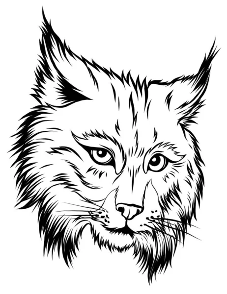 L'illustration montre un visage de lynx en colère. L'animal sauvage a des crocs tranchants et a l'air effrayant. — Image vectorielle