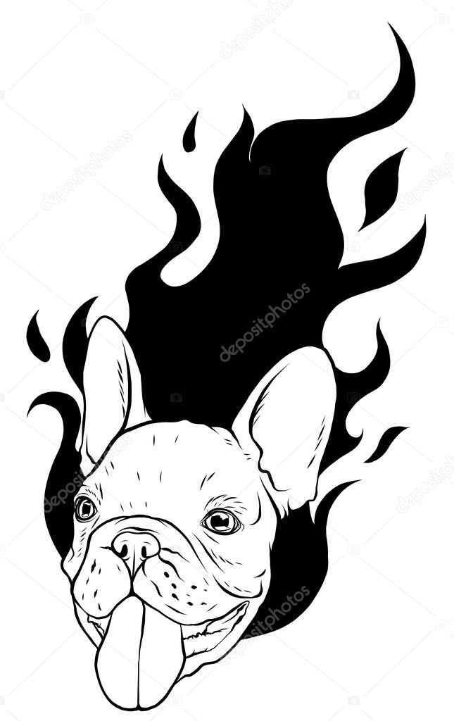 Pug head carlino dog face - vector illustration