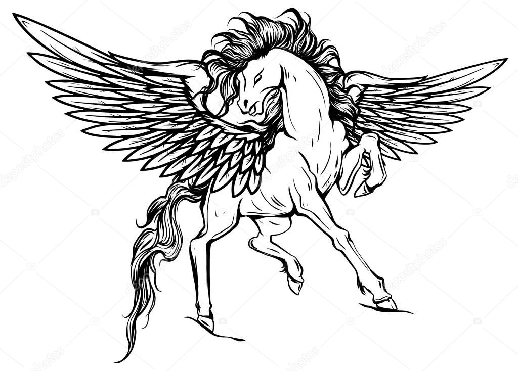 white pegasus, mythological winged horse, illustration isolated on white background vector