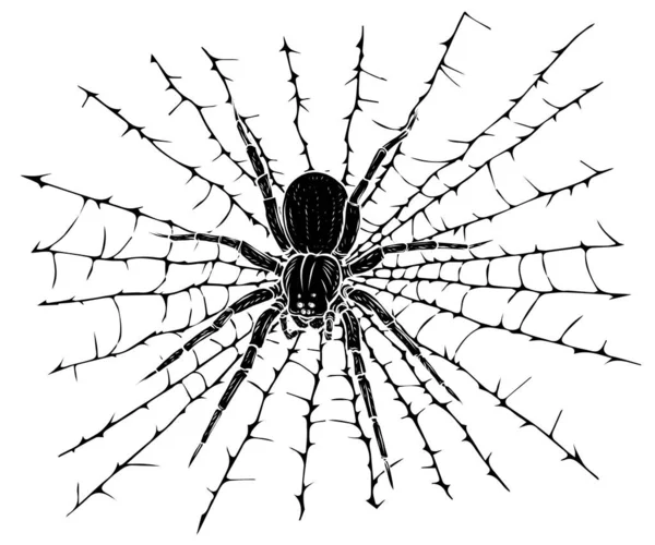 Ilustración vectorial de una silueta negra Spider and a Web — Vector de stock