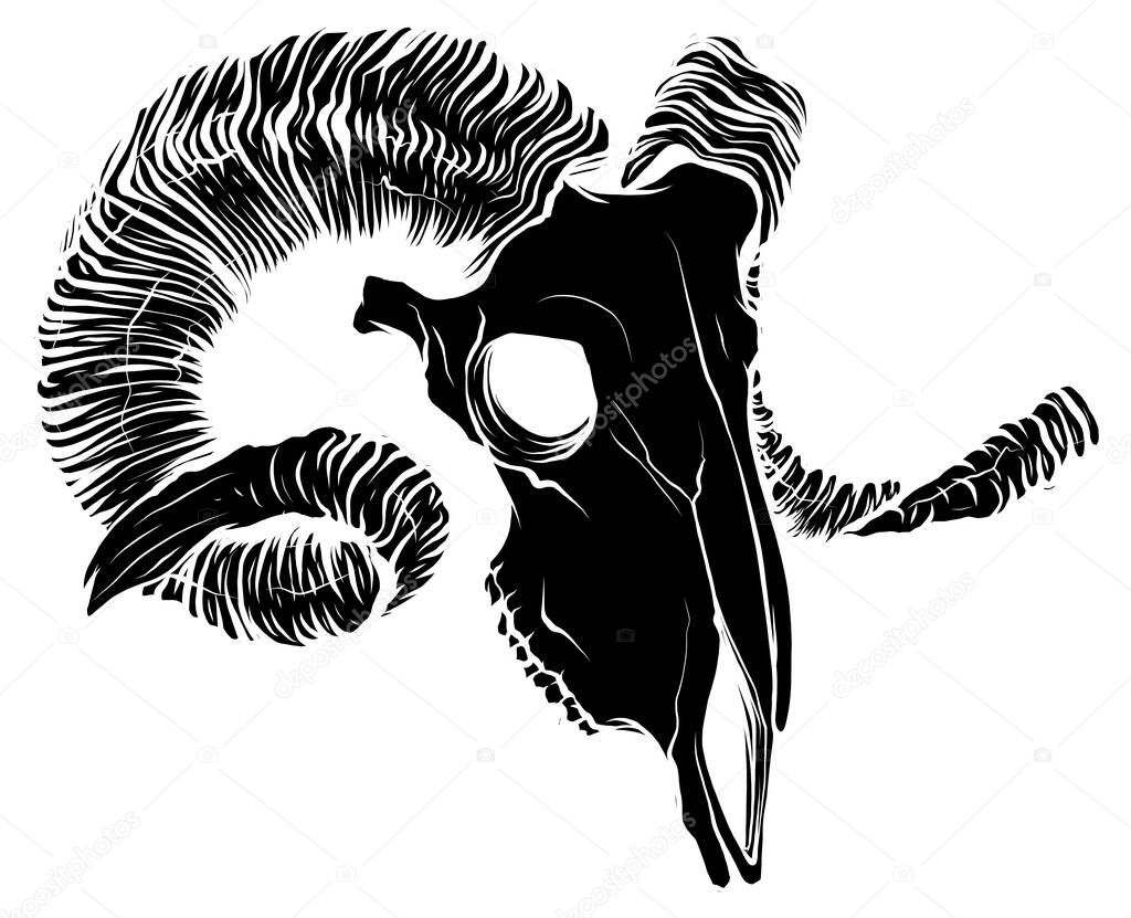 black silhouette Illustration of a goat skull Vector