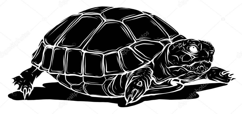 black silhouette turtle icon. Cartoon of tropical turtle vector icon for web design