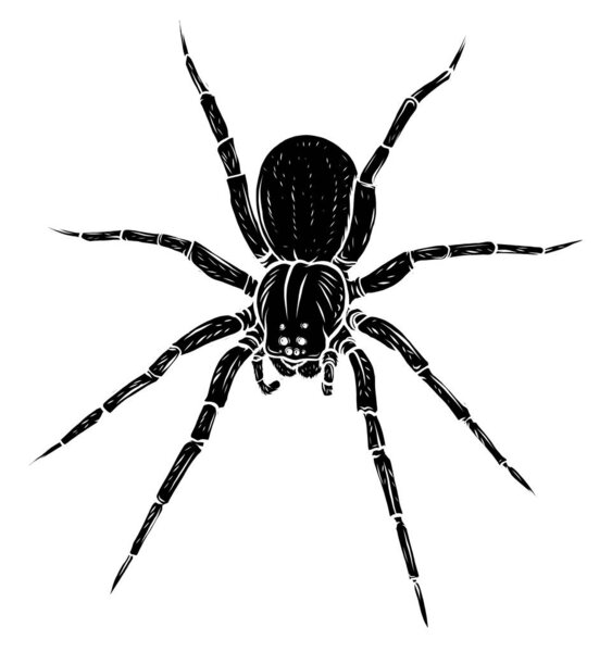 Черный силуэт паук конь арбалет страшно векторной иллюстрации искусства