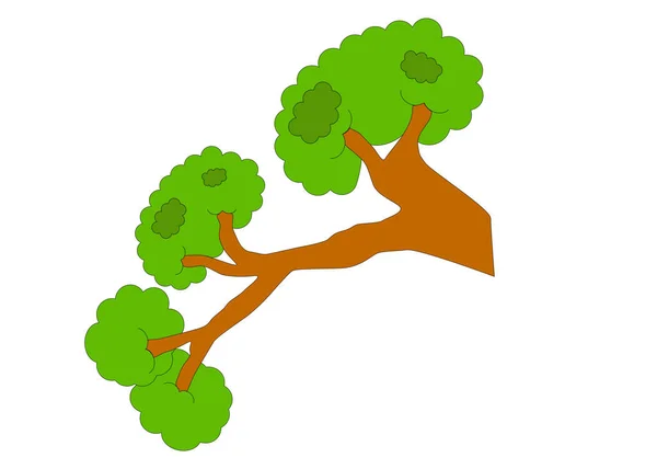 Grönt Träd Isolerad Vit Bakgrund Vektorillustration — Stock vektor