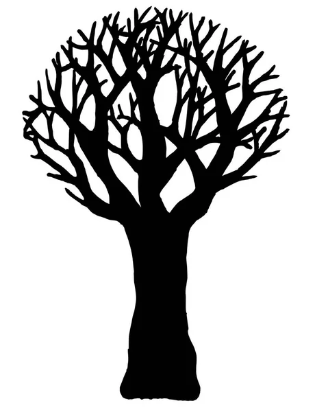 Vetor Árvore Isolado Sobre Fundo Branco Eps10 — Vetor de Stock