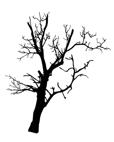 Вектор Дерева Изолирован Белом Фоне S10 — стоковый вектор