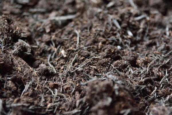 Primer plano del suelo para macetas, mezcla de compost — Foto de Stock