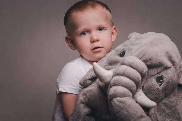 Petit Beau Garçon Blond Étreint Éléphant Peluche — Photo