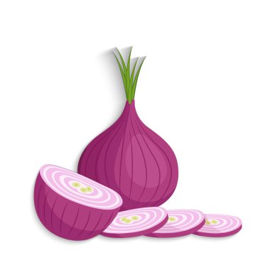 Shallots soğan yarım, dilim ve bütün, vektör illüstrasyon
