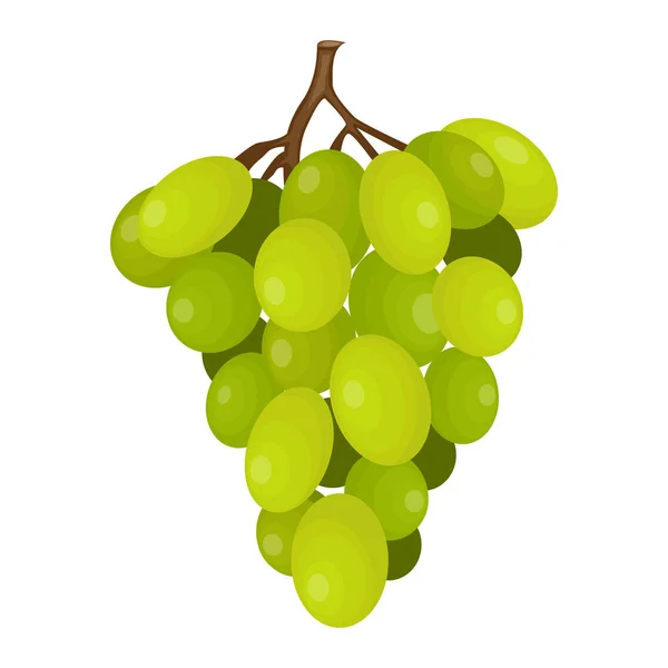 Ramo Uvas Verdes Ilustración Vectorial — Vector de stock