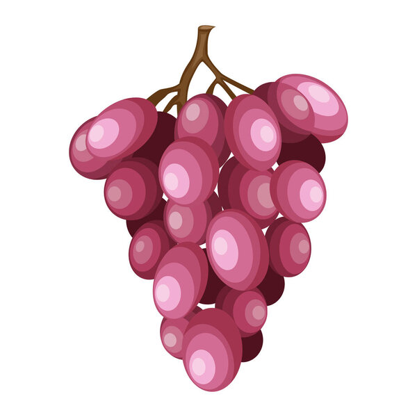 Bunch of rose grapes, vector illustration