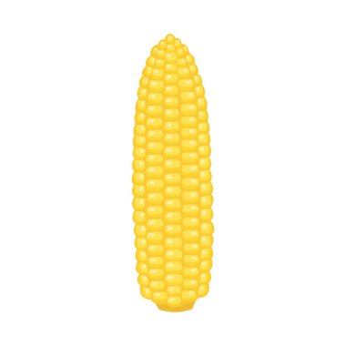 Mısır. vektör çizim