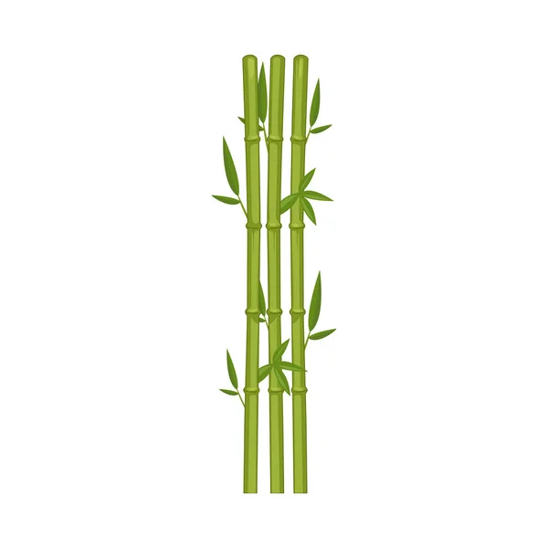 Ikona Bambusa Ilustracja Wektora — Wektor stockowy