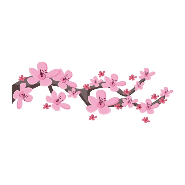 Des Fleurs Sakura Fleurs Cerisier Rose — Image vectorielle