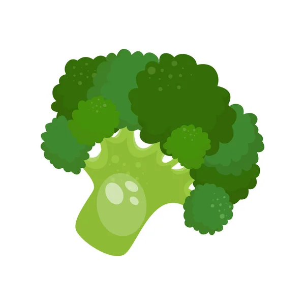 Tecknad Färsk Ekologisk Grön Broccoli Ikon Vektor Illustration — Stock vektor