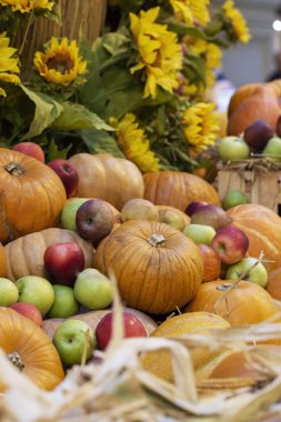 Kabaklar sebze ile kompozisyon