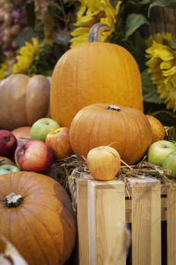 Kabaklar sebze ile kompozisyon