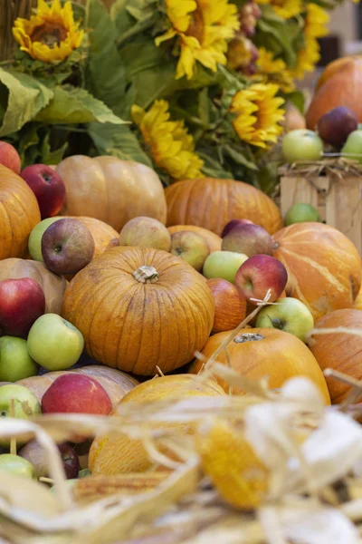 Kabaklar sebze ile kompozisyon