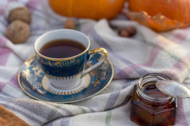 Çay, fındık, ceviz, kabak ve reçel kavanoz ekose battaniye, kaşık ile açık piknik