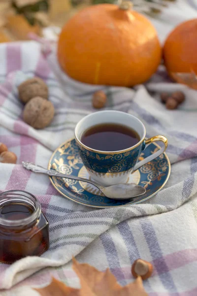 Picknick Freien Mit Tee Haselnüssen Walnüssen Kürbissen Und Marmelade Glas — Stockfoto
