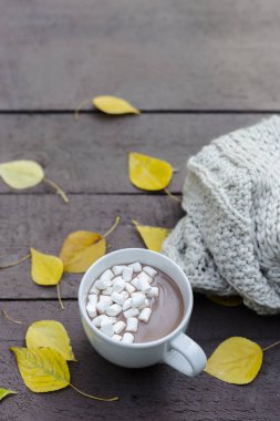 Sarı yapraklar ve eşarp yakınındaki sonbahar park içinde marshmallow ile çikolata meşrubatının