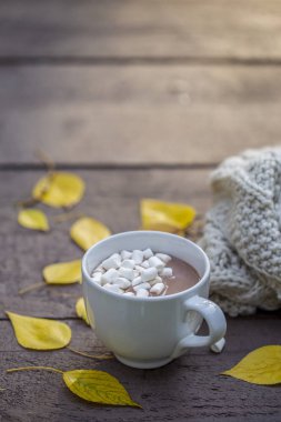 Sarı yapraklar ve eşarp yakınındaki sonbahar park içinde marshmallow ile çikolata meşrubatının