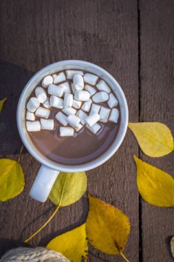 Çikolata meşrubatını sarı yaprakları ile sonbahar park marshmallow ile