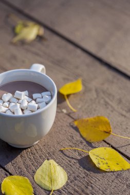 Çikolata meşrubatını sarı yaprakları ile sonbahar park marshmallow ile