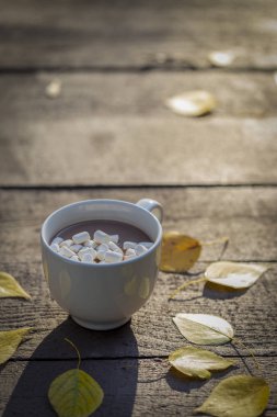 Çikolata meşrubatını sarı yaprakları ile sonbahar park marshmallow ile