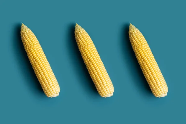 Minimális Minta Érett Kukoricacsutkával Kék Háttérrel Lapos Fektetés Felülnézet Betakarítás — Stock Fotó