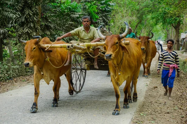 Inicio Jornada Laboral Pueblo Mayapur India — Foto de Stock