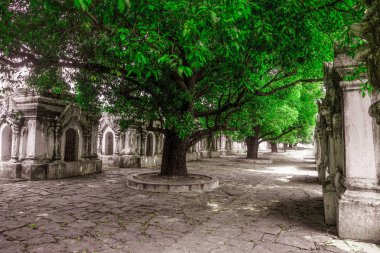 Yeşil ağaçlar kutsal Budist yerde. Mandalay, Myanmar