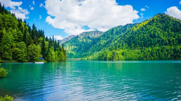 Dağlar Ritsa Gölü. Abhazya
