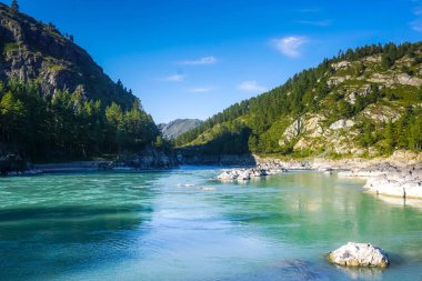 Turkuaz nehir Katun altay içinde. Rusya