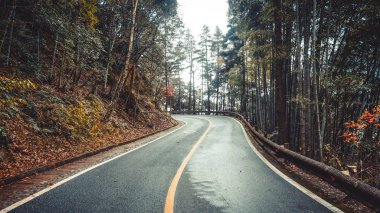 Dağ yolundan Huangshan ili. Çin