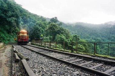 Tren ormanın arasında trenle seyahat
