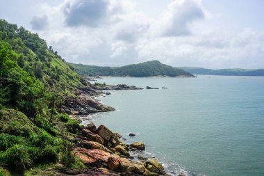 Flora ve fauna tropikal yarımadanın ormanda. Gokarna Köyü, Hindistan