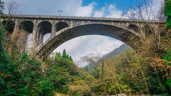 Beautiful Bridge Forest China — Stock Photo, Image