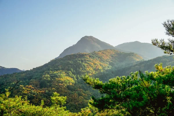 韩国村庄的山和山上的秋天的风景 — 图库照片