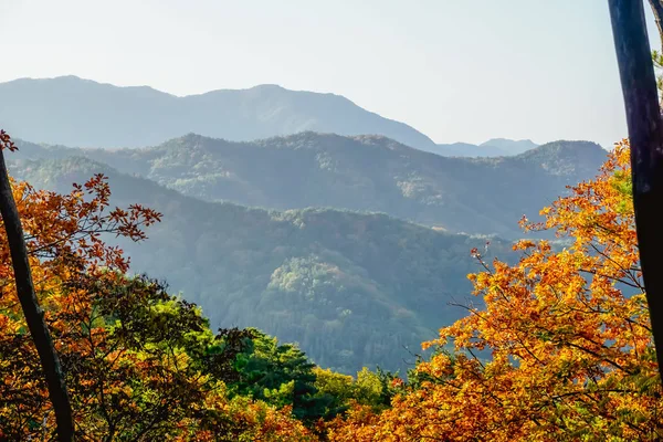 韩国村庄的山和山上的秋天的风景 — 图库照片