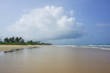 Arambol köyü boş plajları. Goa, Hindistan
