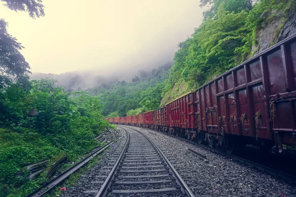 Railway and freight train passing through the jungle and mountains and going to the Dudh Sagar waterfall. Karnataka, India