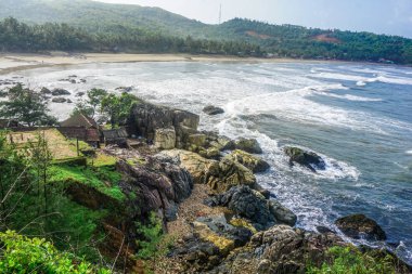 Flora ve fauna tropikal Yarımadası. Gokarna Köyü, Hindistan