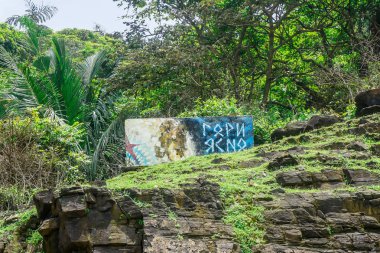 Tropikal orman ve duvar yazıt 