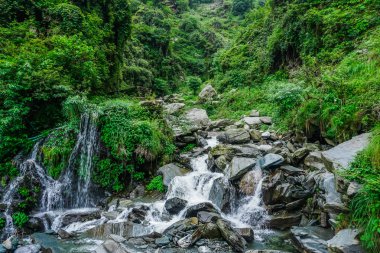 İnanılmaz doğa Himalayaların başında. Dağlar ve Falls Bhagsunag. Dharamsala, Hindistan