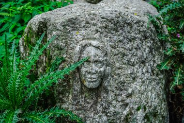 Bir insan kafası bir vahşi bir dağ nehir taşları oyulmuş. Dharamsala, Hindistan