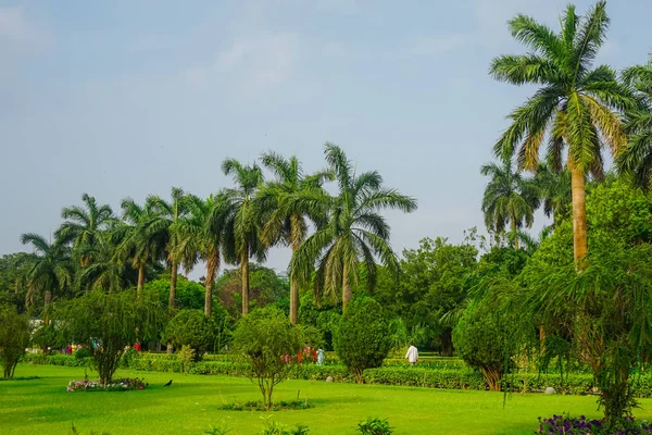 Mooi Groen Park Met Palmbomen Het Grondgebied Van Victoria Memorial — Stockfoto