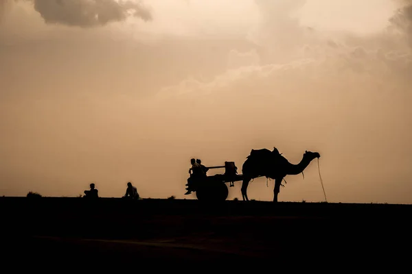 Kamelkarawane Rastet Der Wüste Rajasthan Indien — Stockfoto