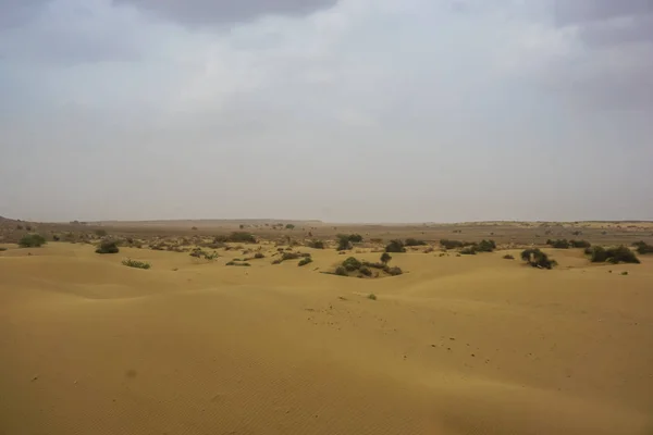 ラジャスタン州 インドの砂漠の砂砂丘 — ストック写真
